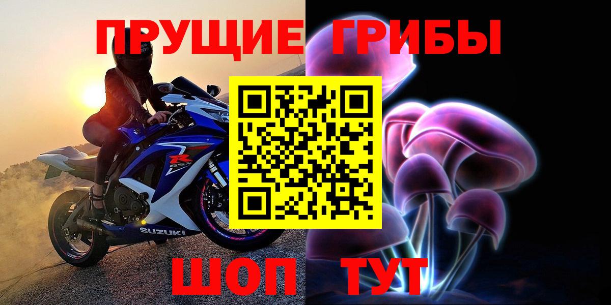 Псилоцибиновые грибы MAGIC MUSHROOMS  Вход с VPN  Кировск 