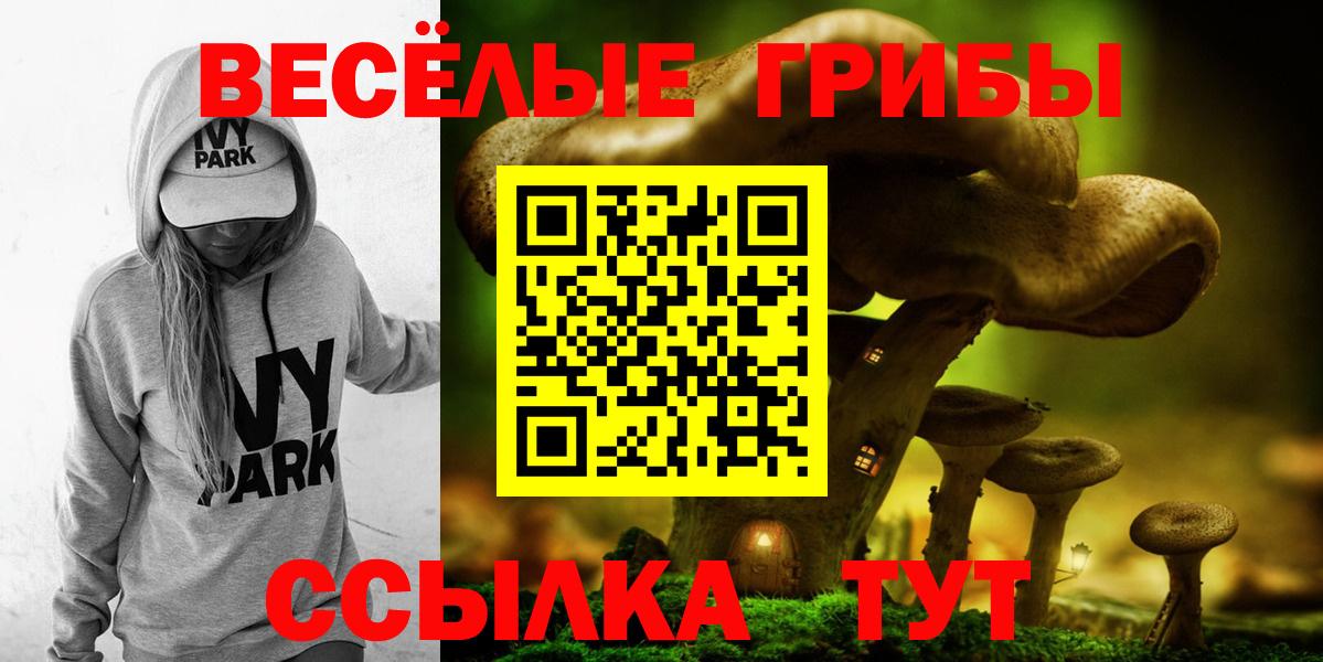 Псилоцибиновые грибы прущие грибы Кировск